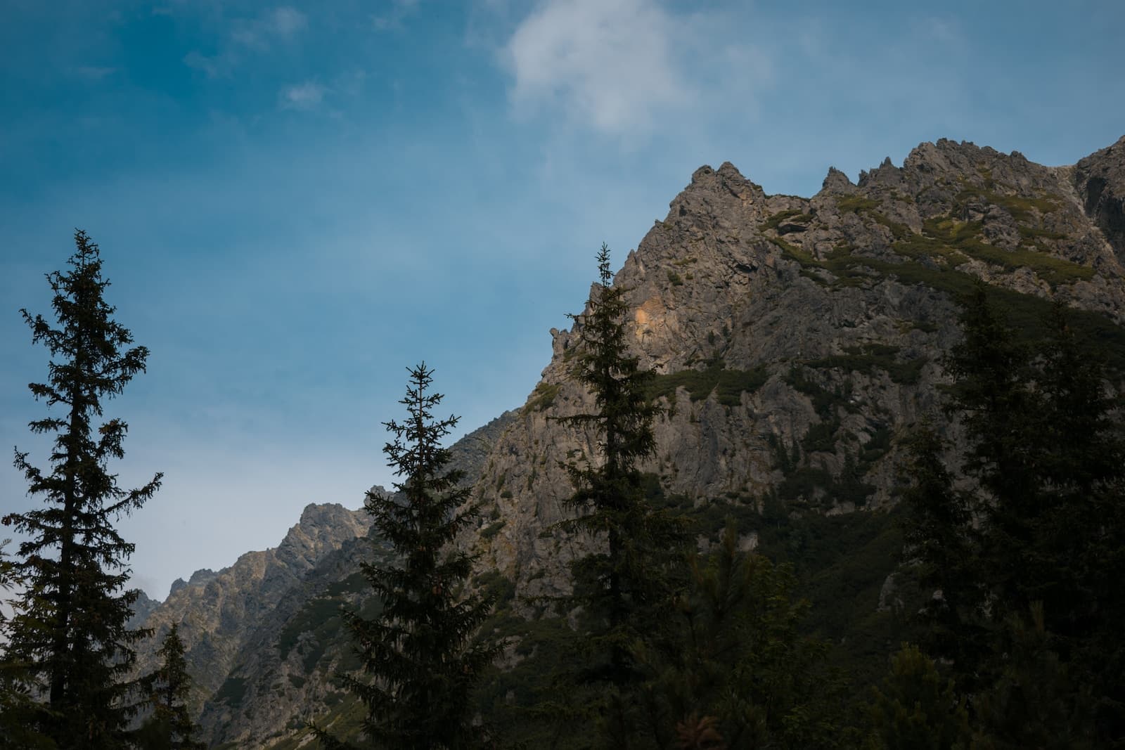 green trees on rocky mountain under blue sky during daytime