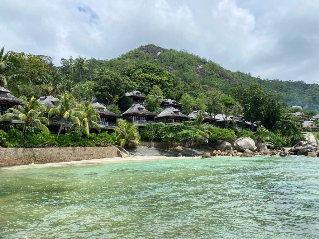 green trees near body of water during daytime